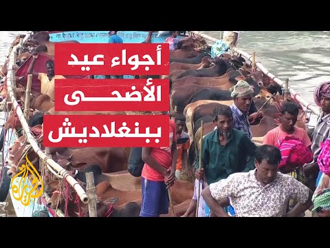التضخم يسرق فرحة البنغلاديشيين بعيد الأضحى