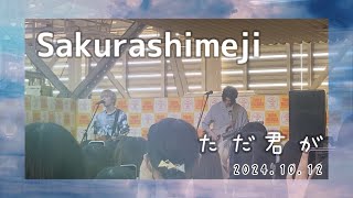 『ただ君が』Sakurashimeji ＠ 241012『明日を』フリーライブ