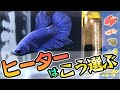ベタ飼育でのヒーターの選び方について【初めてベタを飼うあなたへ】
