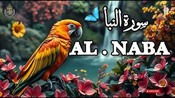 Title : سورة النبأ 📖 |  ✨: عمّ يتساءلون؟ ❓