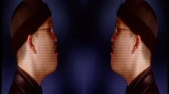 PSY - 새(BIRD) M/V