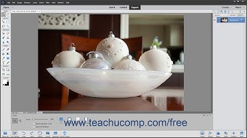 Photoshop Elements 2020 Tutorial Selection Basics Adobe Training