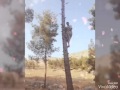 وفيق حبيب مابدفع كاش وفيق حبيب مابدفع كاش