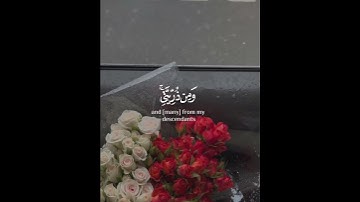 قران كريم #قران_كريم #فلسطين_حره #اللهم_صل_وسلم_على_نبينا_محمد #الباقيات #الصالحات