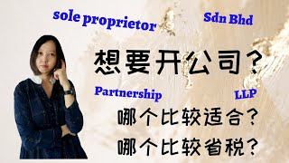 开什么公司？Sole proprietor? Partnership? Sdn Bhd? LLP? 哪个最省税？
