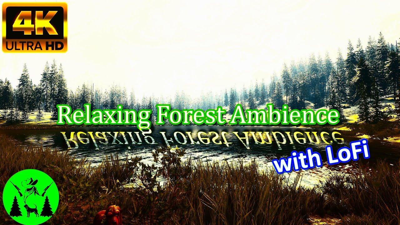 Relaxing LoFi and Nature Ambience || Yukon Valley - theHunter Call of the Wild