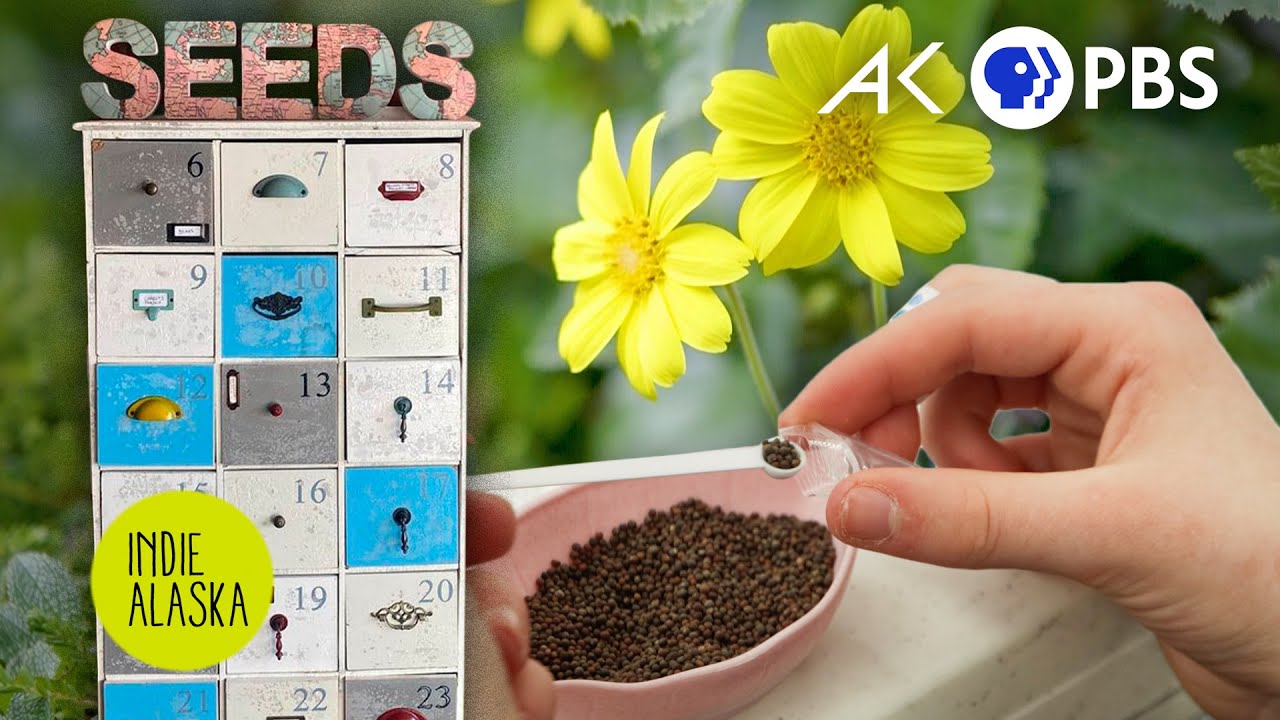 What is a seed library? And how are they saving Alaska’s gardens? | INDIE ALASKA