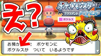 14 ポケルス自然感染 ギンガ団の幹部と戦ってストーリー進めてたら感染してた ポケットモンスターブリリアントダイヤモンド実況 Youtube