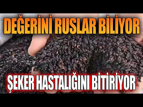 Değerini Ruslar biliyor. Şeker Hastalığını Bitiriyor.