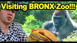 Best Zoo in NYC! Bronx Zoo - Tigers 🐅 , Lions, Gorillas 🦍 and Budgies!?! + Zoo Food Review!!!
