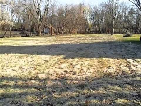 17 60th St, Downers Grove, IL home video tour