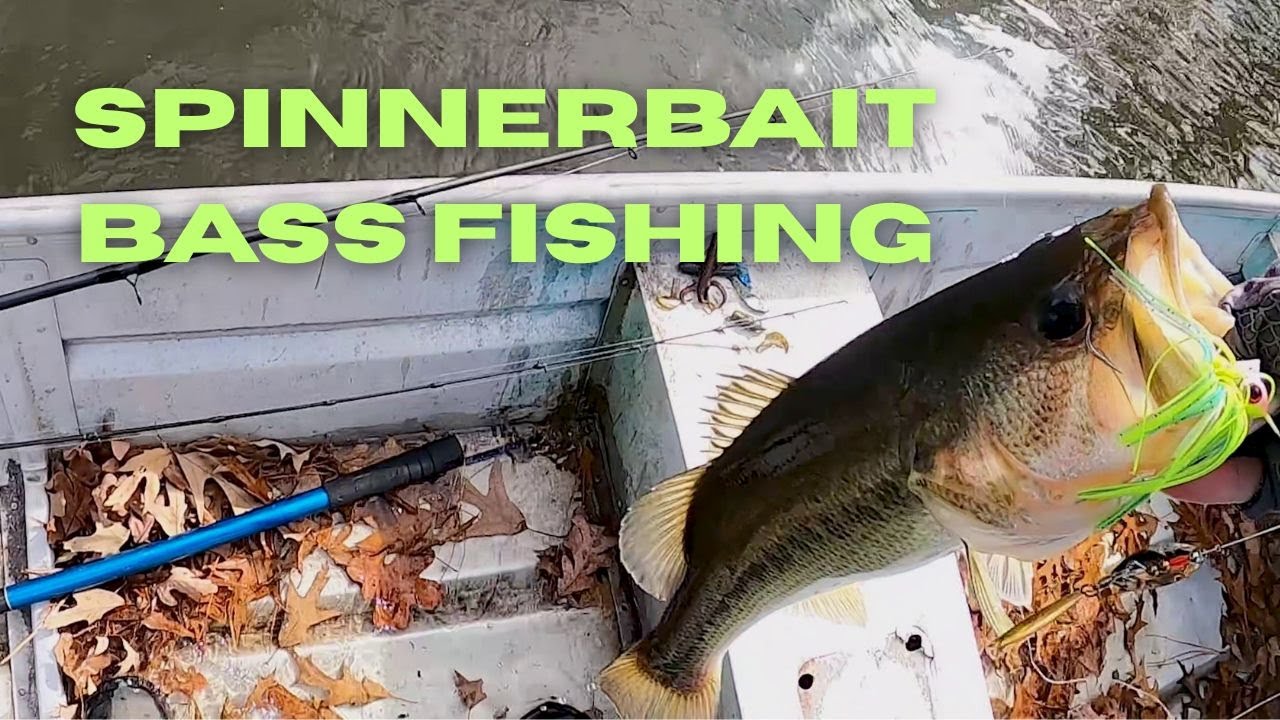Winter Spinnerbait Bass Fishing