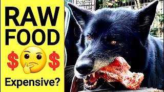In this video i show how cheap it is to feed your dog raw foods. also
compare the price of feeding food with commercial kibble and muc...