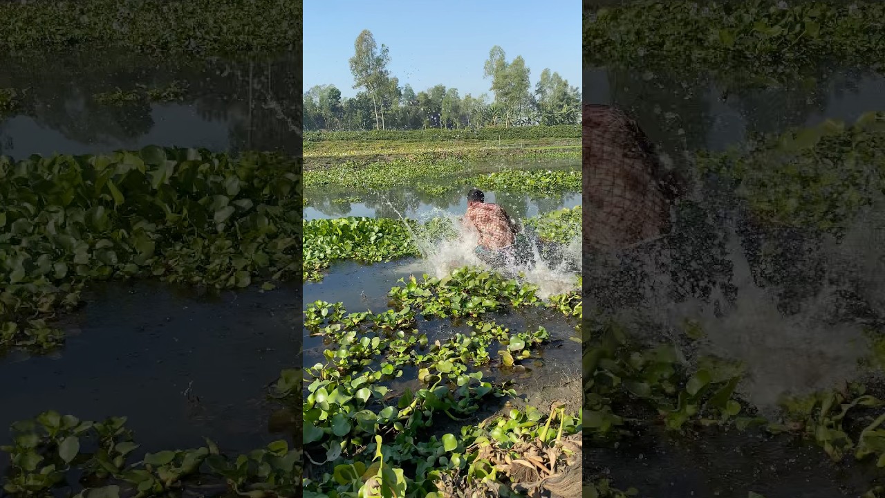 Perfect Fishing Spot Found 