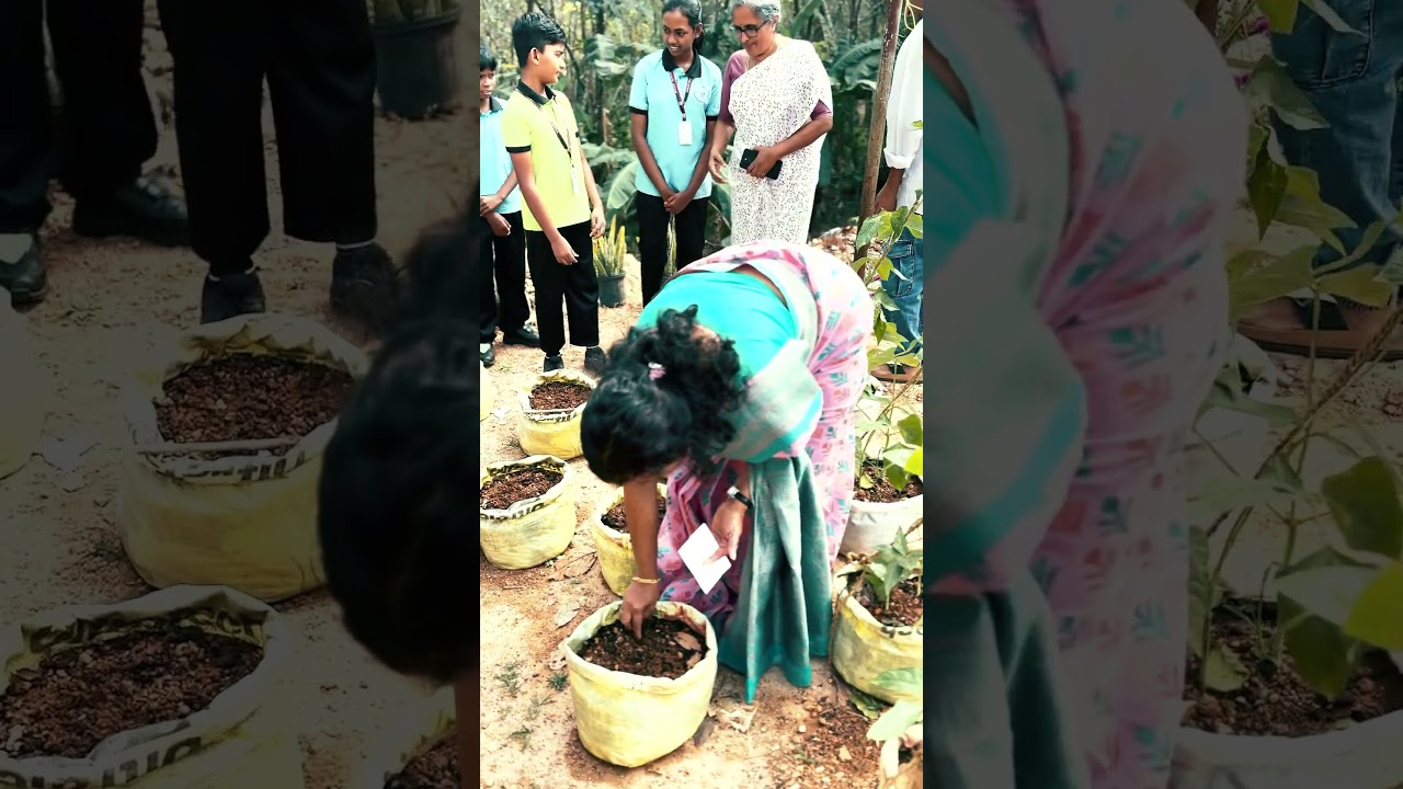 FROM SEED TO SUSTAINABILITY #school #lifeisbutadream