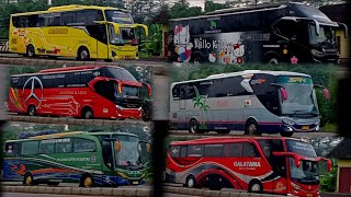 WOW PANTURA RAME BUS LAGI‼️ PANTURA IS BACK 🤩