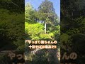 帰省したよ