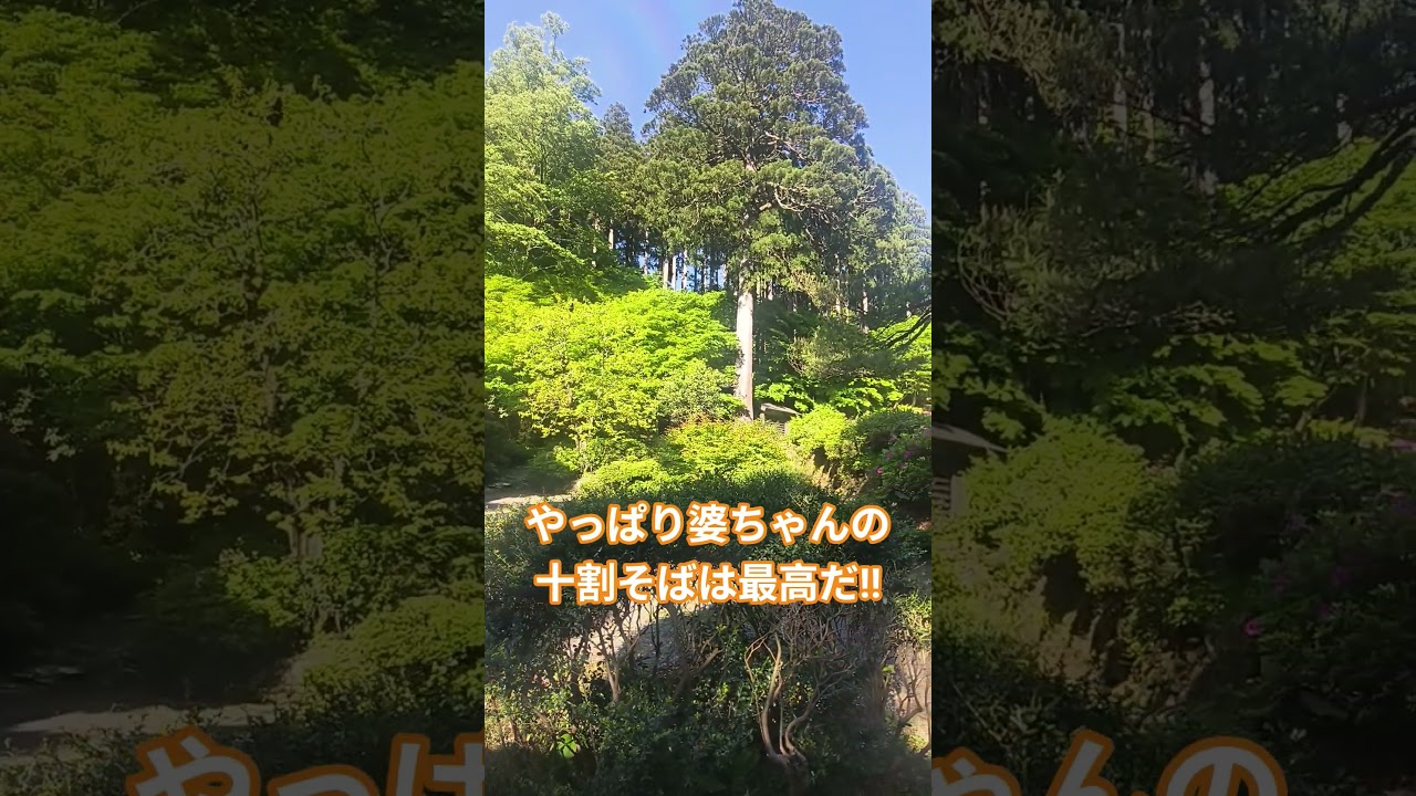 帰省したよ