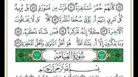 ختمة تلاوة لمصحف التجويد بصوت القارئ محمد حبش الصفحة رقم 577
