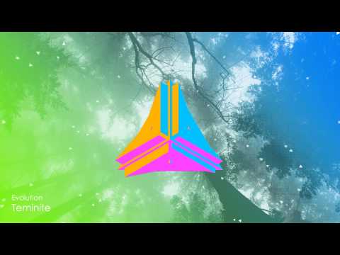 Teminite - Evolution