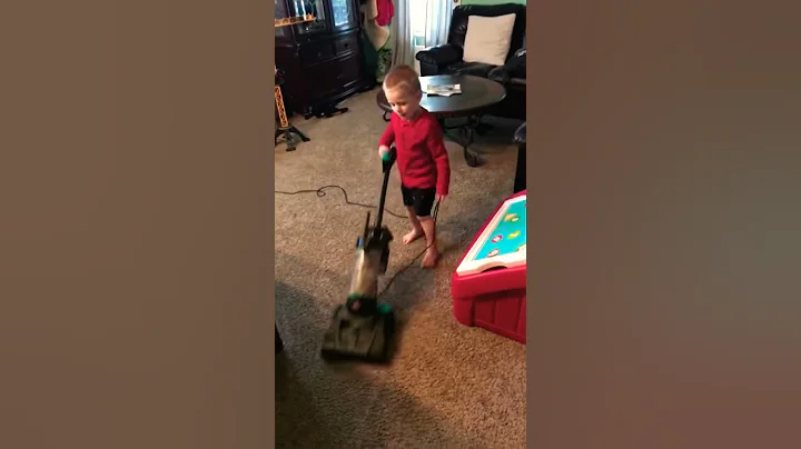 Trying to vacuum the house