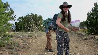 Wildlands Restoration Volunteers