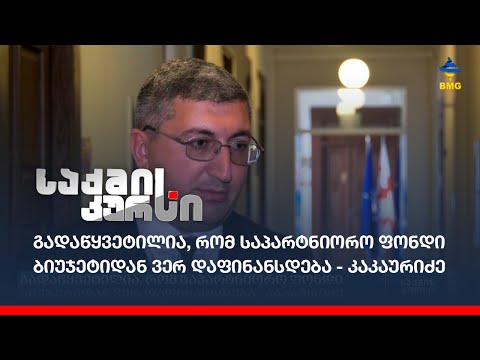 გადაწყვეტილია, რომ საპარტნიორო ფონდი ბიუჯეტიდან ვერ დაფინანსდება - კაკაურიძე