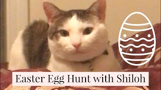 My Cat Has His First Egg Hunt | Easter 2020