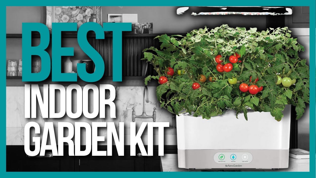 Best Indoor-Garden Kits 2023