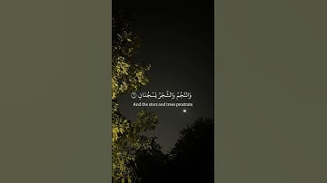 سورة الرحمن| القارئ جابر القيطان🖤.