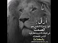 أرقى انواع عزة النفس هو الصمت في الوقت الذي ينتظرفيه الناس إنفجارك بالكلام