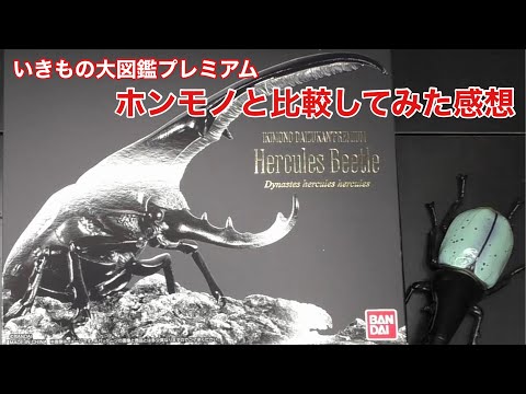 いきもの大図鑑プレミアム】クワカブ系YouTuberがフィギアとホンモノを