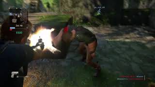 Uncharted™: The Lost Legacy #2 M14/Aegis