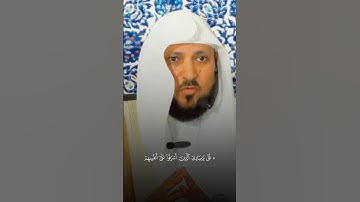 تلاوة من القرآن الكريم بصوت الشيخ ماهر المعيقلي | سورة الزمر آية رقم ٥٣ | تلاوة جميلة جداً