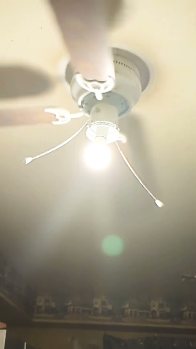 3 Ceiling fans wobbling in my house #funny #ceilingfan #meme #shorts