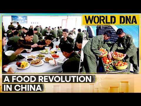 China Food Revolution How Beijing Is Changing What People Eat WION World DNA