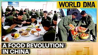 China Food Revolution How Beijing Is Changing What People Eat  Wion World Dna