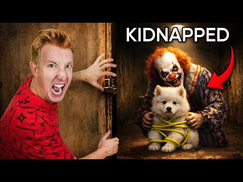 Can We Save Our Kidnapped Dog In Time 