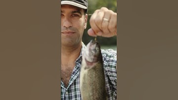 New GMAIL Scams YOU Need to Know About! #technews #gmail #scams #shorts