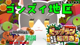 Splatoon3 びっぐらぁぁぁぁぁぁぁん！ゴンズイ地区で大暴れ！参加型【スプラトゥーン3】