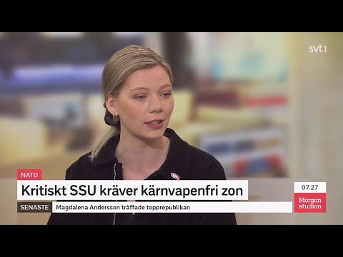 Lisa Nåbo om Socialdemokraternas Natobeslut – SSU