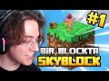 Yen tek blok skyblock 2023  herkesin bekledii an