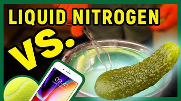 The Effects of Liquid Nitrogen on Various Objects