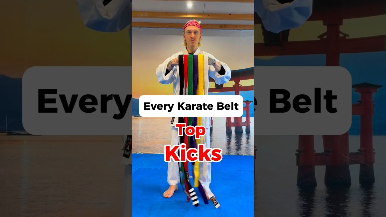 Epic Karate Knockouts | Professionals vs Beginners