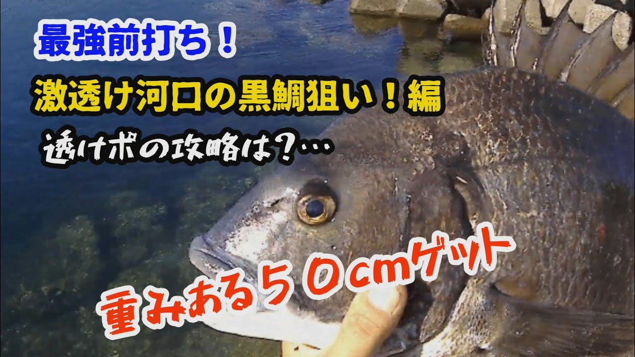 前打ち 激スケの黒鯛を攻略編 浅スケも恐れる事無しです 多分 Youtube