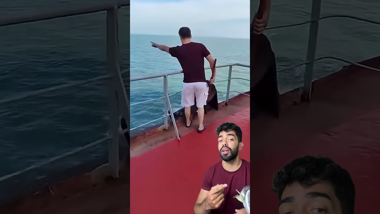 piratas disfarçados