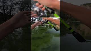 Риболов на кефал с Българската въдица шибучица! #fishing