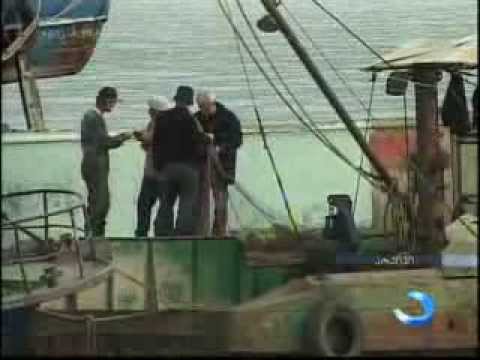 როგორია შავი ზღვის აუზის ეკოლოგიური მდგომარეობა?