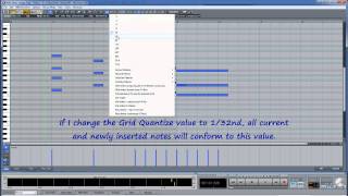Samplitude & Sequoia Midi-08: Matrix Editor Cell Edit Mode screenshot 4