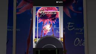 Flamingo Flamenco Movie and Minions 2